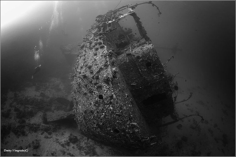 Krisulaphoto preview