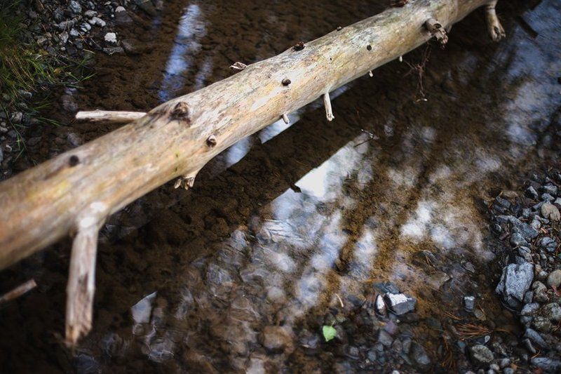 Саргаяphoto preview