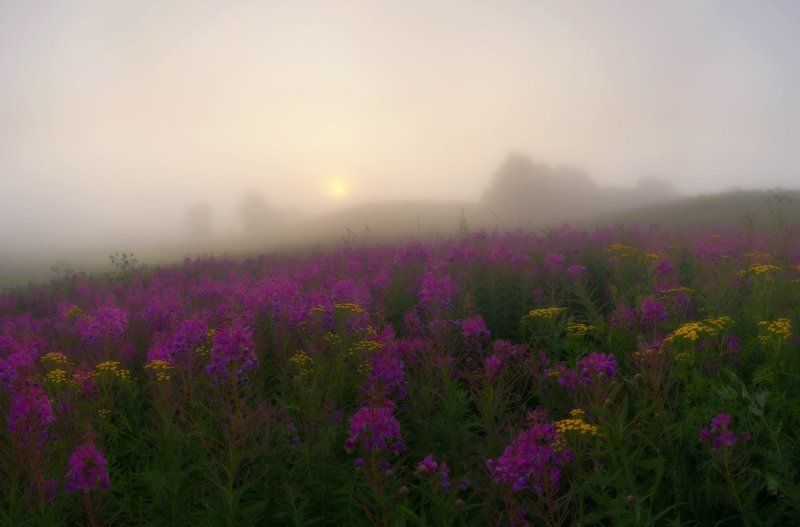 С утра пораньше.photo preview