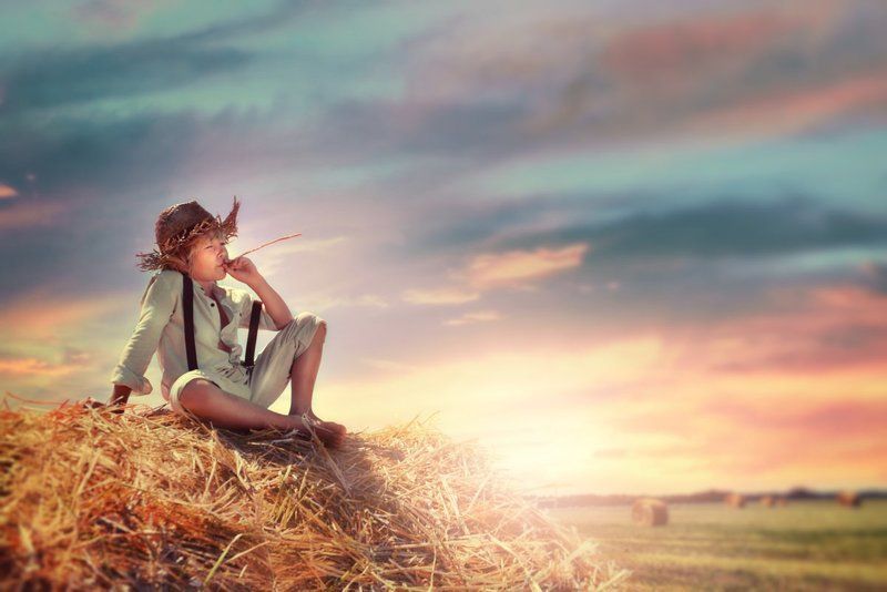 Том Сойерphoto preview