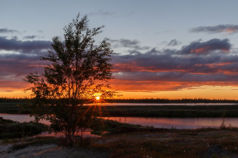 новыйуренгой, уренгой, ямал, янао, тундра, лесотундра, камиль, камильнуреев, россия, закат, вечер,лето ***photo preview