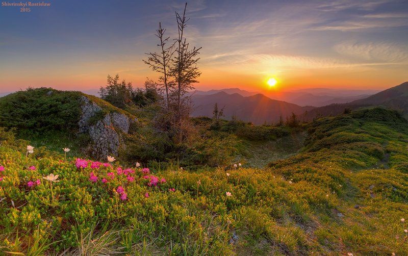 Maramureusphoto preview