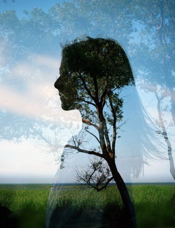 120 film, Film, Mamiya 645 af *** фото превью