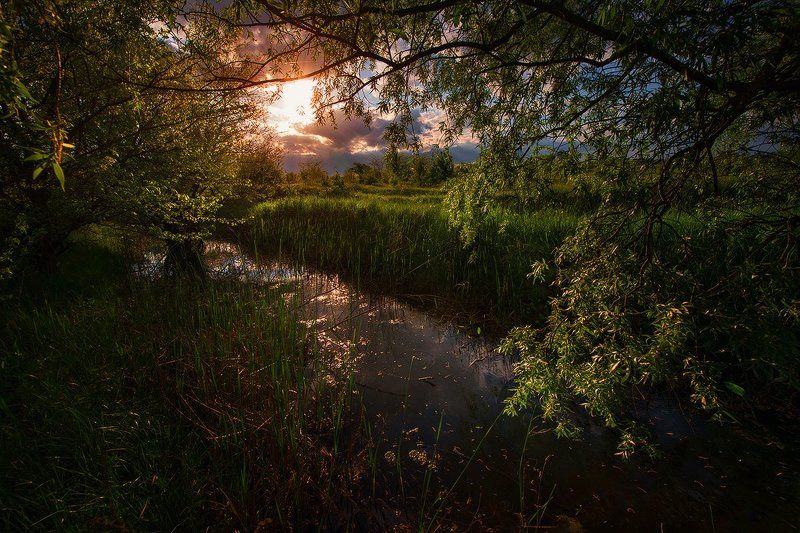 Закат на старой речкеphoto preview