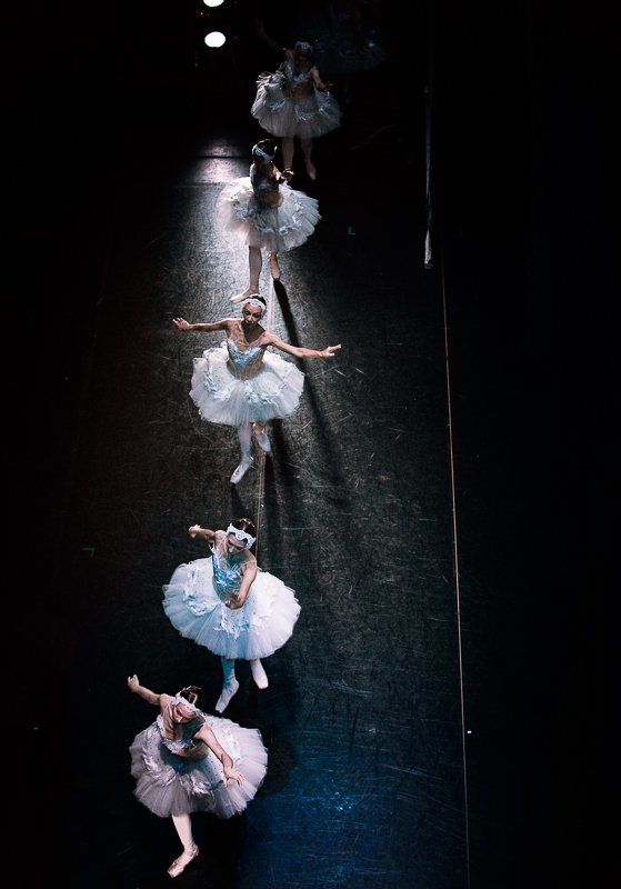 балерины, балет, выход, лебеди, лебединное озеро, полет Балетные зарисовки.photo preview