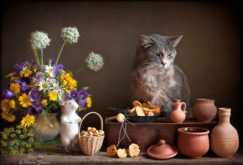 rats\'n\'cats, кошки, кошки-мышки, крыска-игрушка, натюркотики Rats\'n\'Cats. Приключения Феликса. Часть третья.photo preview