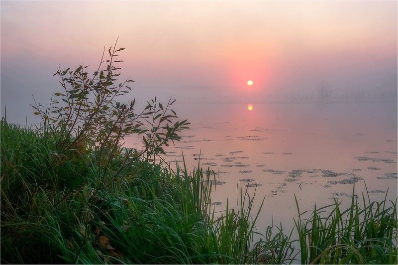 утро, рассвет, солнце, капля, упала, свет, дорожка Упала капляphoto preview