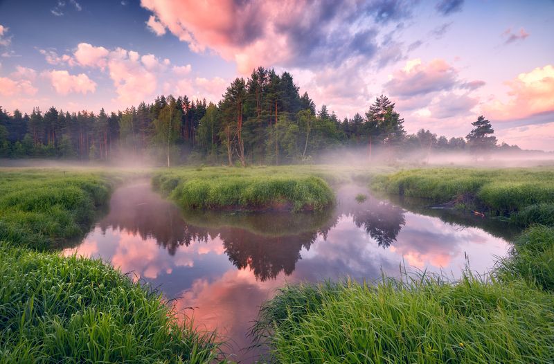 Шередарь.Июнь ...photo preview