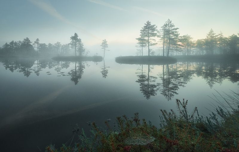 Утроphoto preview