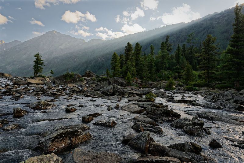 Шумыphoto preview