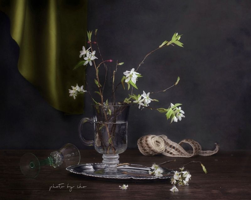 Tales of Heartphoto preview