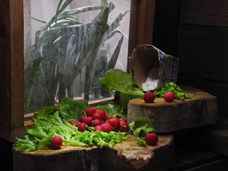 еда, салат, редис, лук, соль, Весенние витамины.photo preview