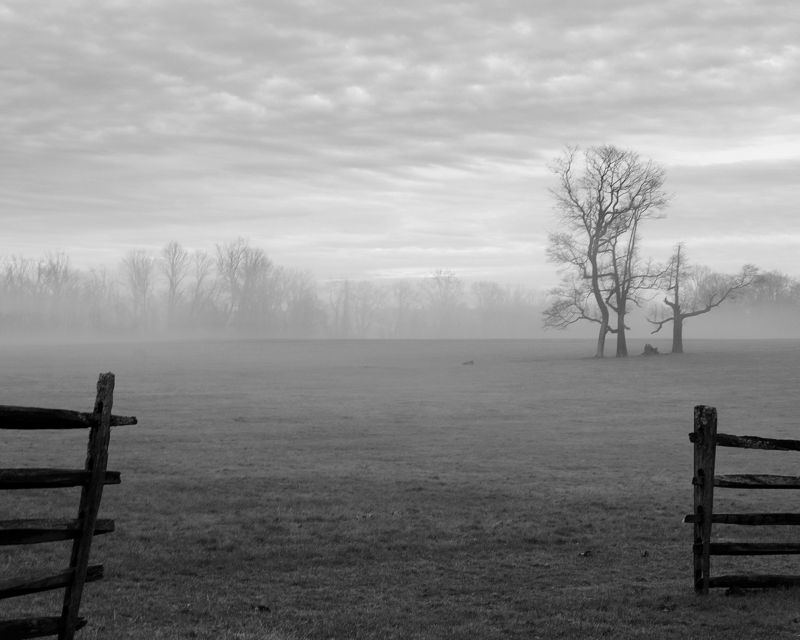 перспектива памяти Памятьphoto preview