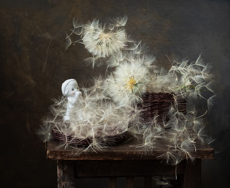 натюрморт, цветы, козлобородник Опять зима?photo preview