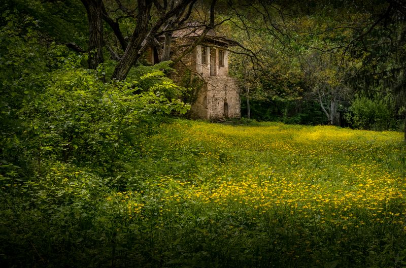 грузия, заброшенный дом, georgia, an abandoned house, нд, кавказ, зедазени, georgia нд, покинутые миры Забытый всеми...photo preview