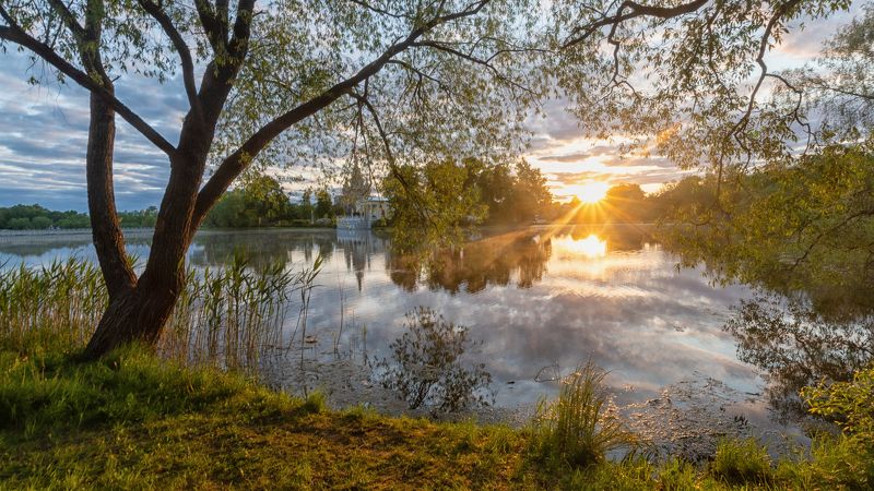 утреннее солнце Ольгин пруд. Восходphoto preview