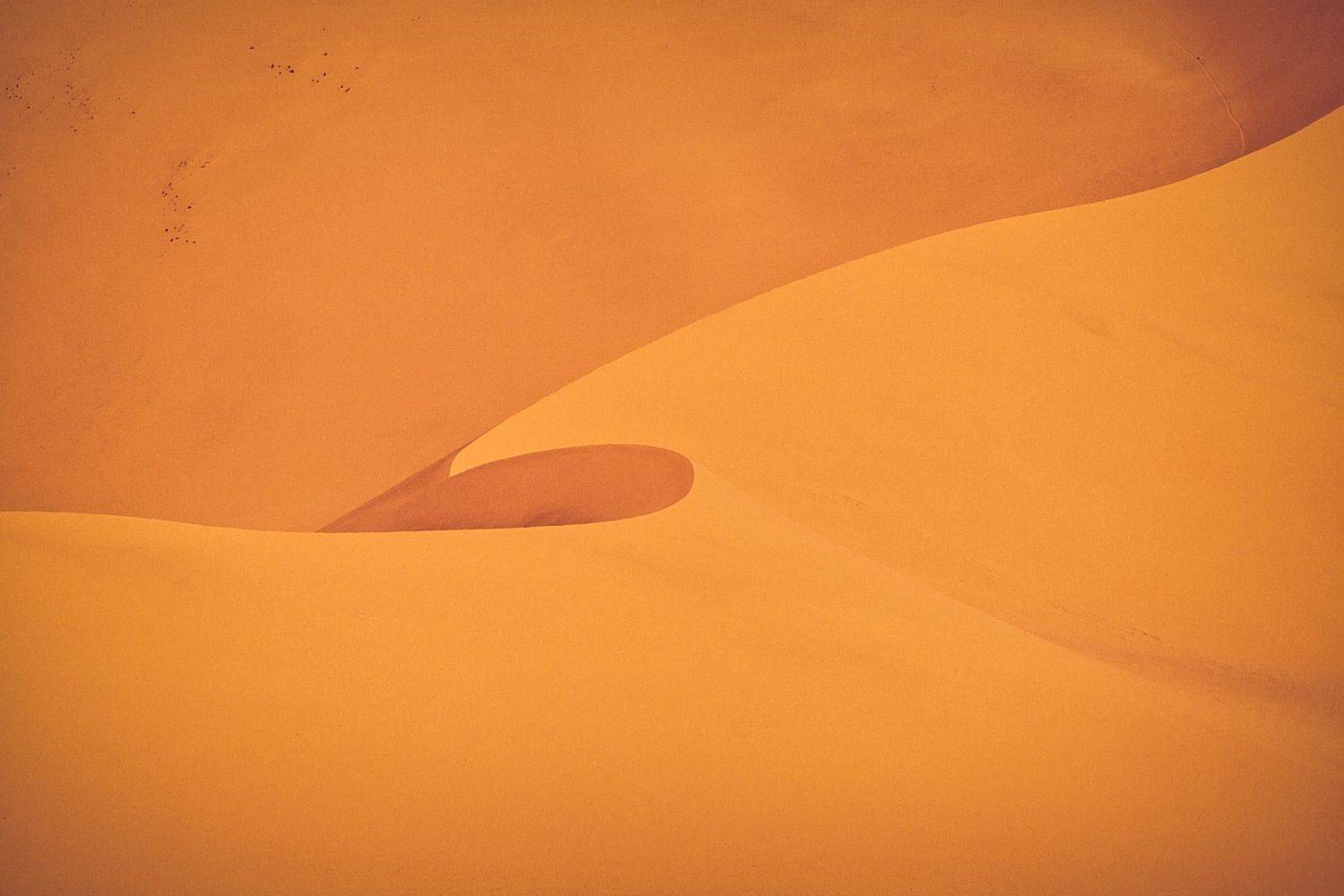 алжир, сахара, Алексей Мараховец