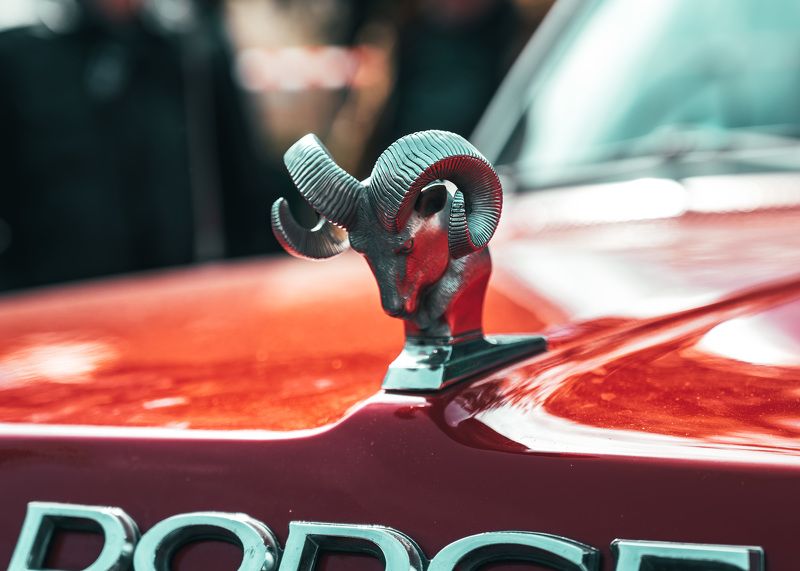 Mascot Dodgephoto preview