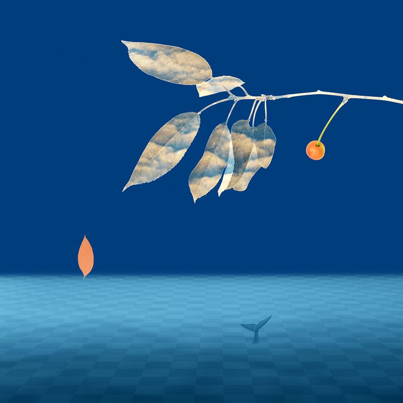 blue, branch, cherry, collage, color, colors, concept, conceptual, digital, digital art, editing, leaf, leaves, photo collage, photography, surreal, surrealism, Unexpected Viewphoto preview