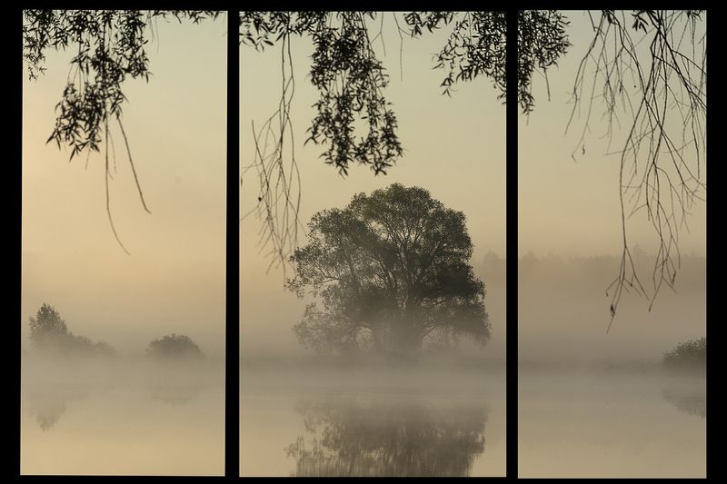 триптихphoto preview