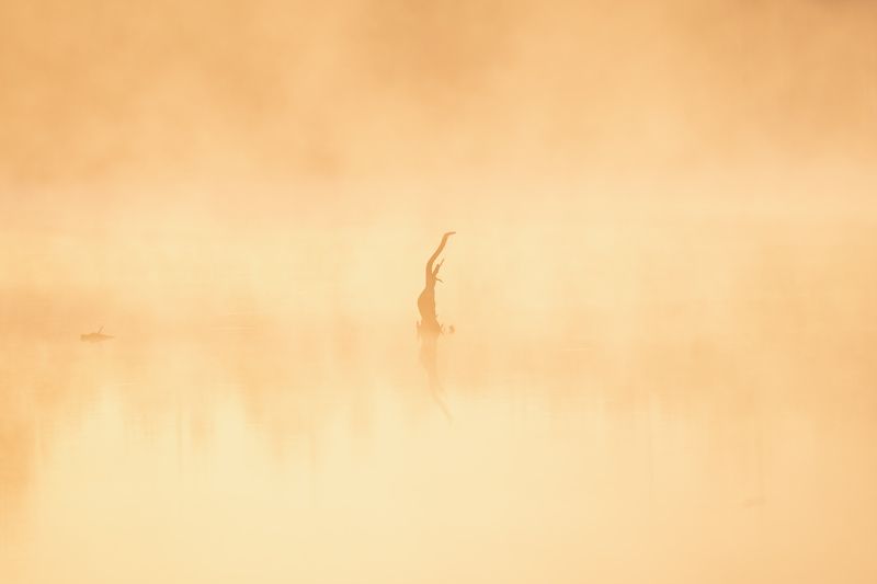 С первыми лучами…  With the first rays…photo preview
