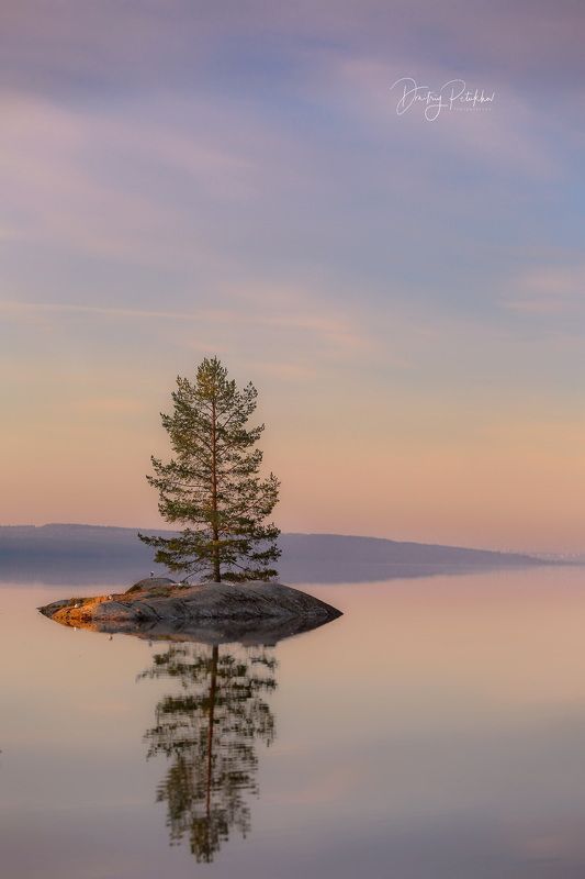 Звенящая тишинаphoto preview