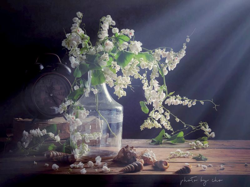 Tales of Heartphoto preview