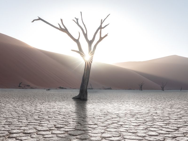 Утро в Дедвлейphoto preview