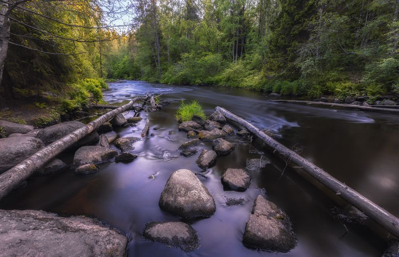 река течение камни вечер закат деревья солнце Неутомимая рекаphoto preview