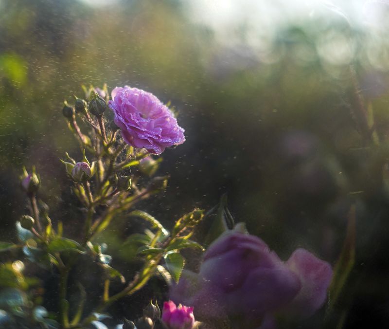 Вечерphoto preview