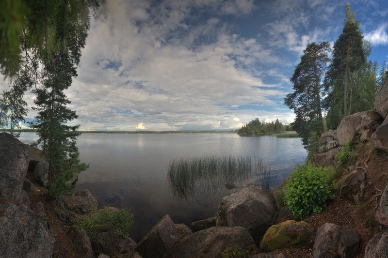 Монрепоphoto preview