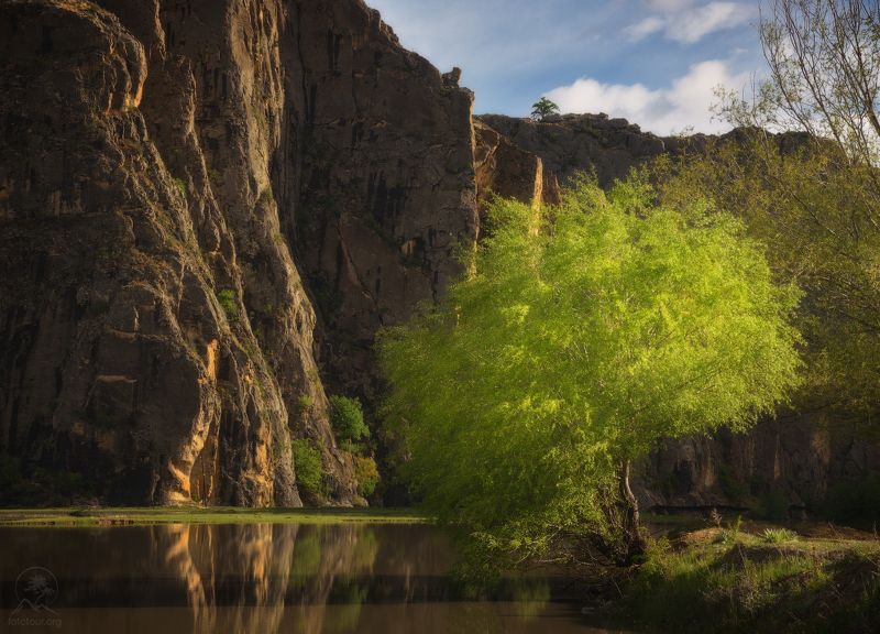 дагестан, горный дагестан, кавказ, фототур в дагестан,  деревья, озеро, горы, свет, весна, утро В утренних лучахphoto preview