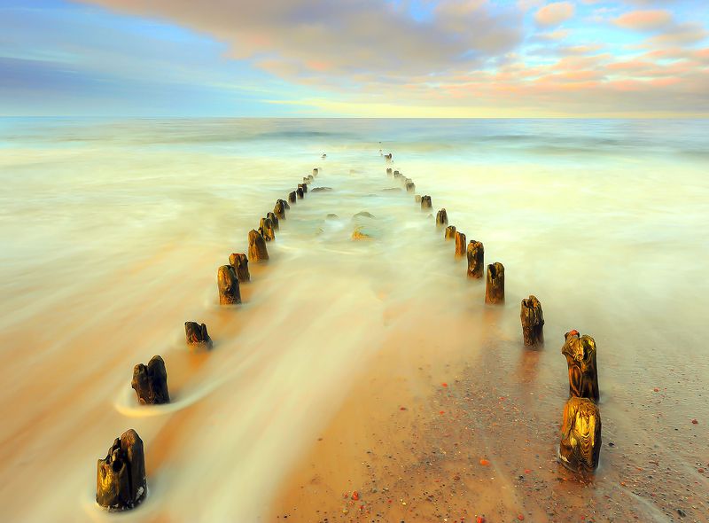 Samotnikphoto preview