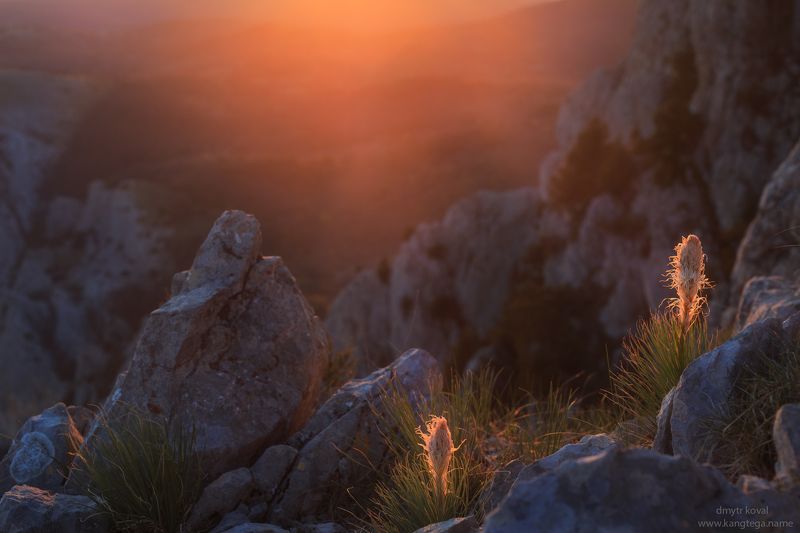 пейзажемагьё, пейзаж-как-виденье На берегах заводи парящего света фото превью