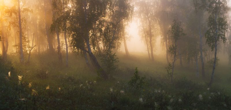 Поймать летоphoto preview