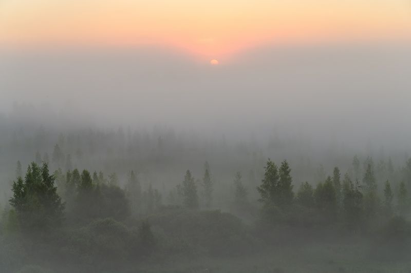 Новый туманphoto preview