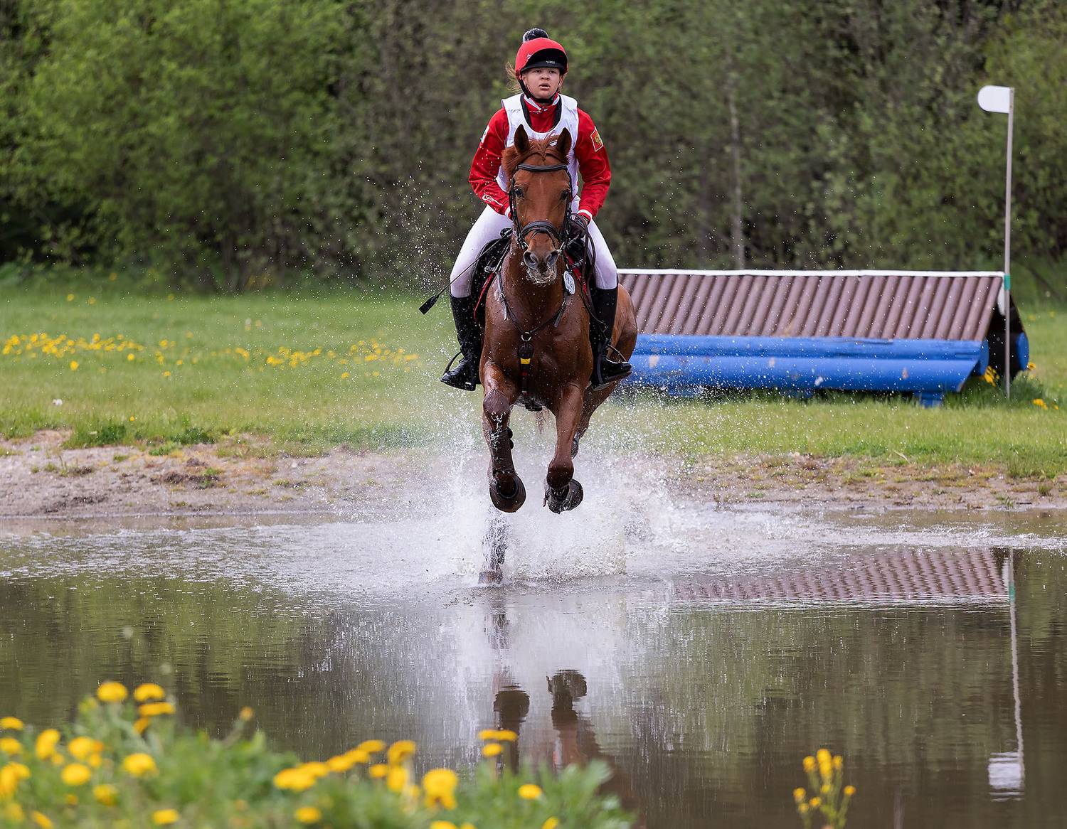 троеборье, конкур, спорт, соревнования, horses, competition, movement, sport, jump, Стукалова Юлия