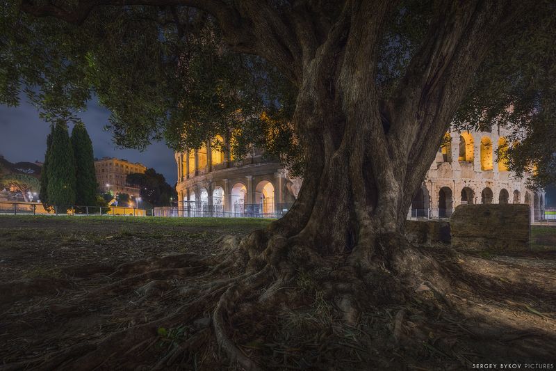 Colosseo - Roma фото превью