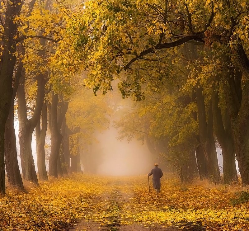 Jesień życiaphoto preview