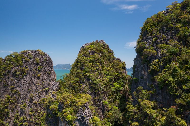 sea, green, island, jungle, ship, ocean, golf, bird\'s, view, aerial, high, uninhabited, desert Flying foxphoto preview