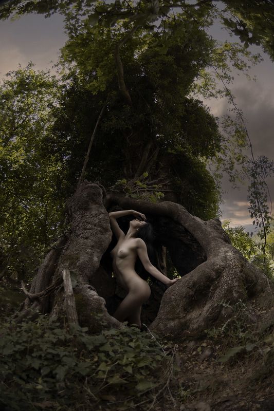 The wombphoto preview