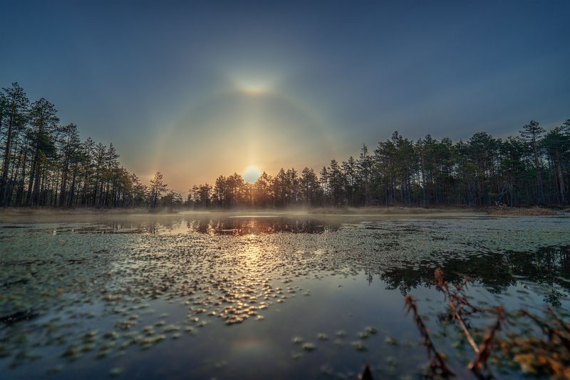 Утренний паргелий на болоте фото превью