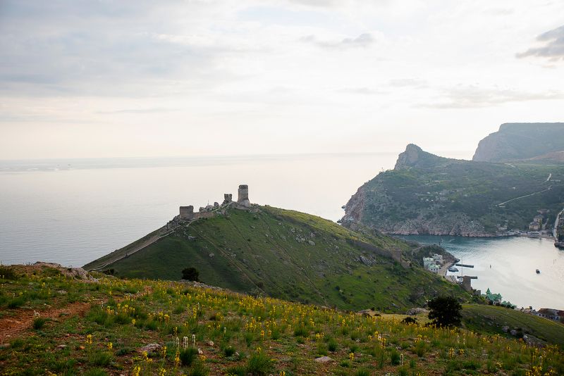 Untitledphoto preview