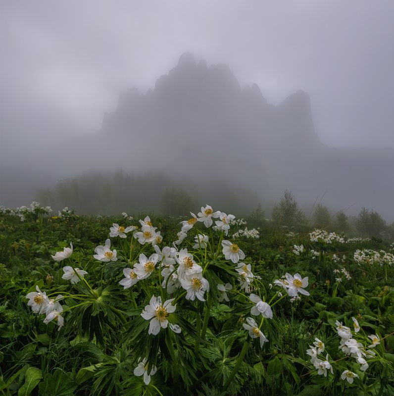 западный кавказ, природный парк большой тхач Призрачные замкиphoto preview