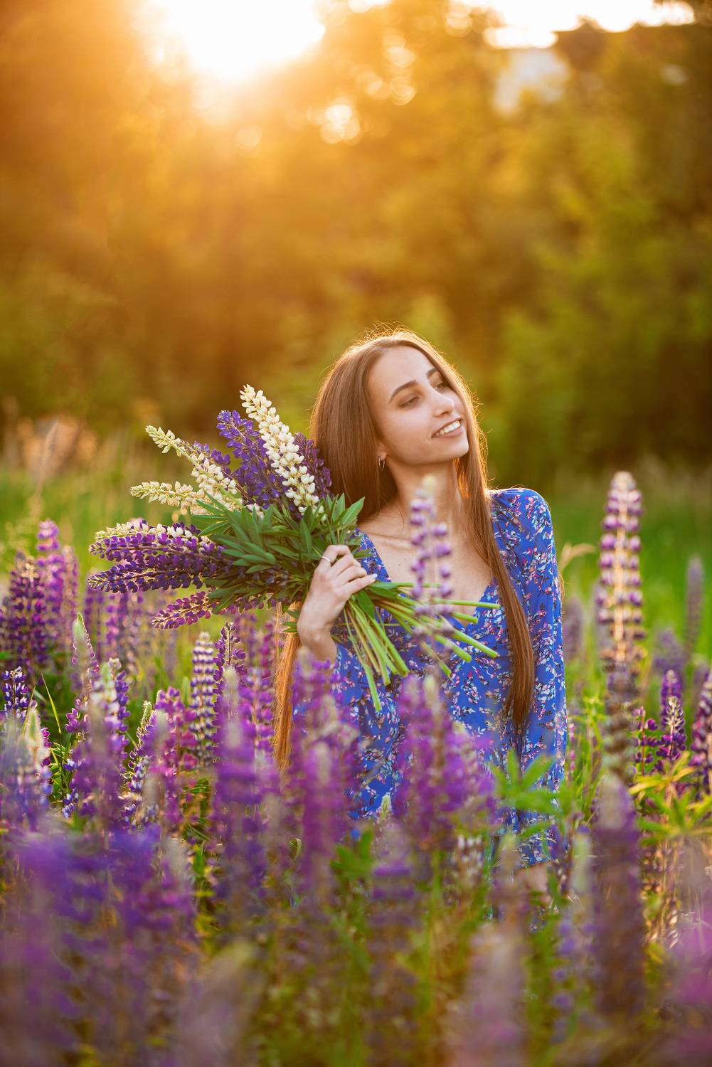 люпины, Александр Белолипецкий