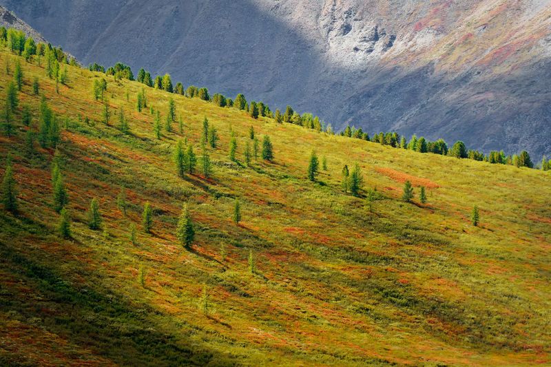 Градиентphoto preview