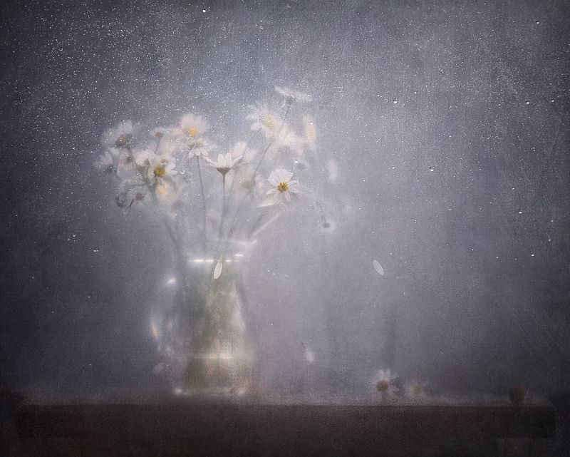 В облаке белых ромашекphoto preview