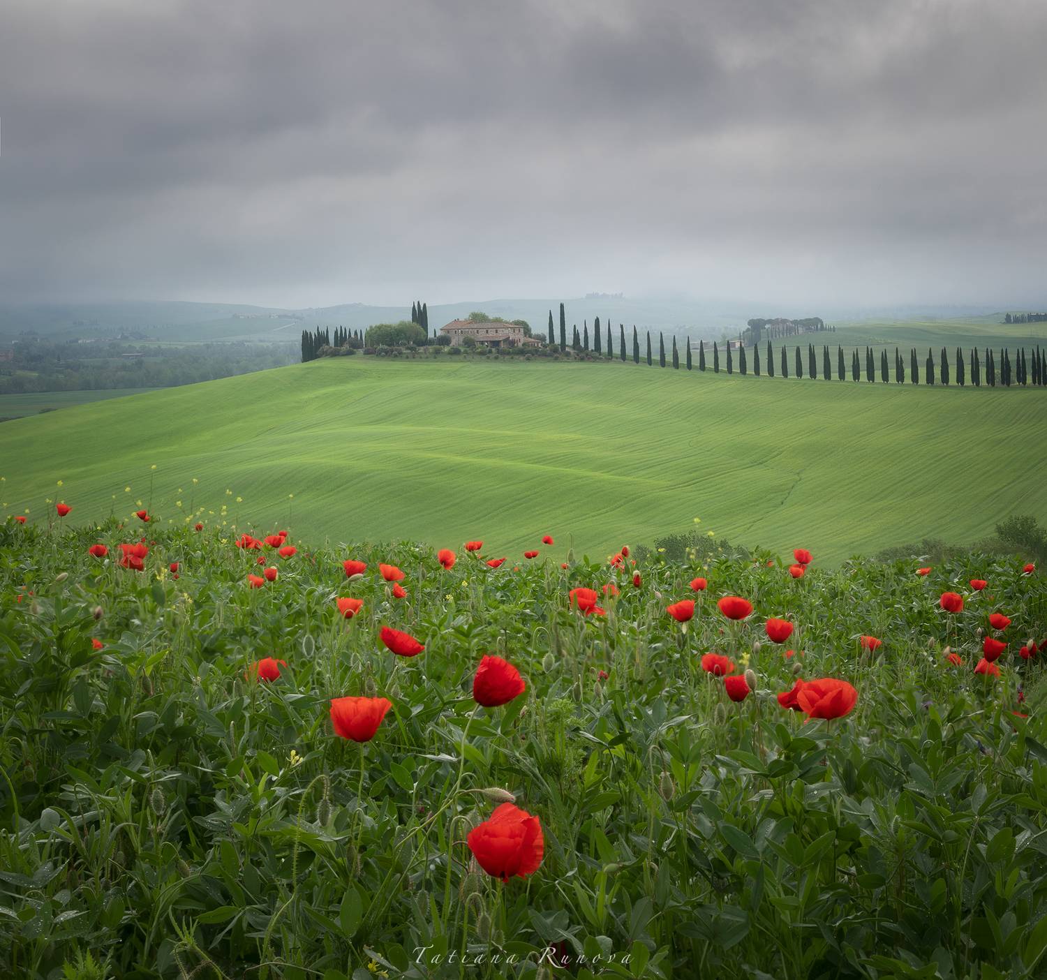 Долина Валь д'Орча. Автор: Рунова Татьяна , Рунова Татьяна