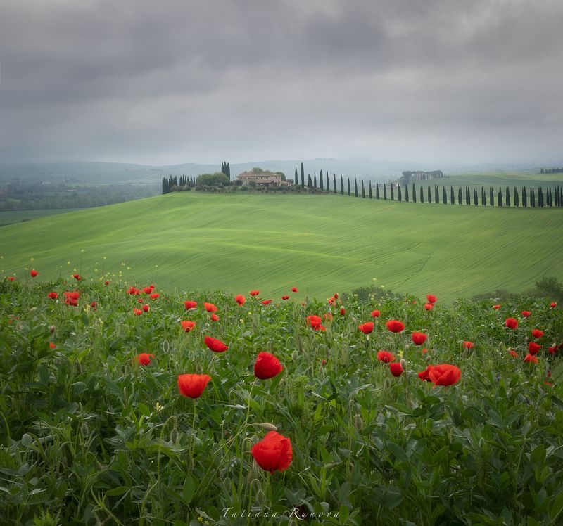 Долина Валь д\'Орчаphoto preview