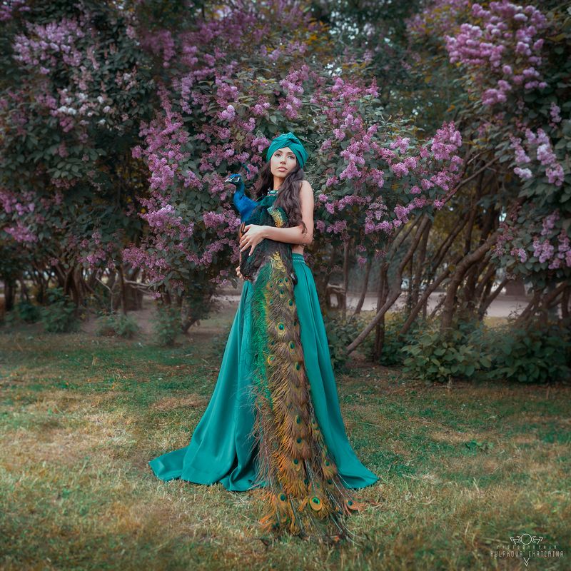 павлин, сирень, сад, garden, восточный стиль, paul photo preview